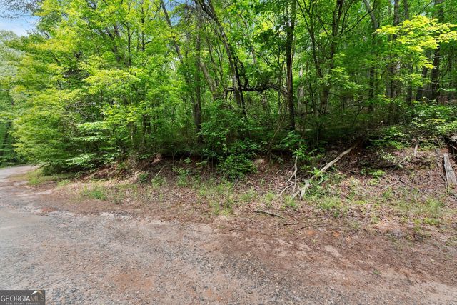 0 Long Mountain Road, Cleveland, GA 30528