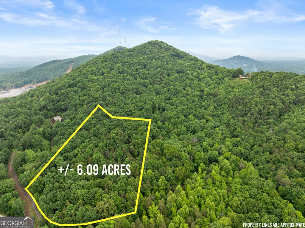 0 Long Mountain Road, Cleveland, GA 30528