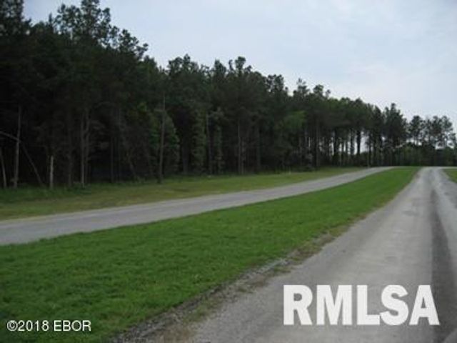 Lot 358 Parrish Ridge Lane, Goreville, IL 62939