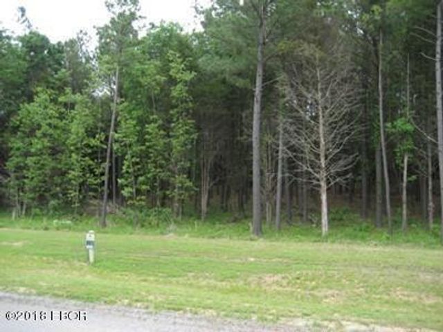 Lot 358 Parrish Ridge Lane, Goreville, IL 62939