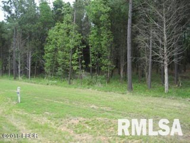 Lot 358 Parrish Ridge Lane, Goreville, IL 62939