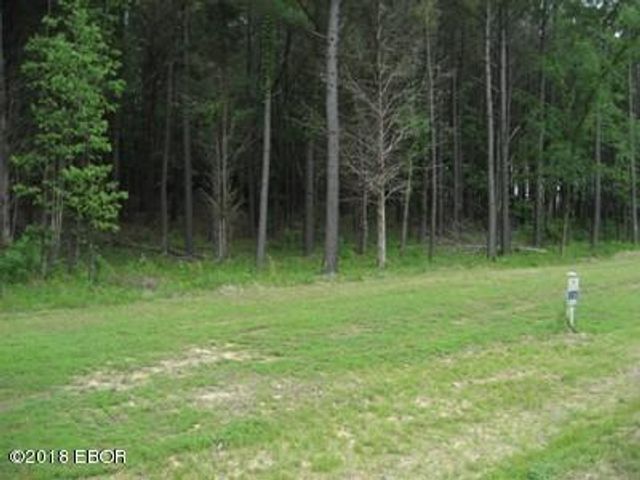 Lot 358 Parrish Ridge Lane, Goreville, IL 62939