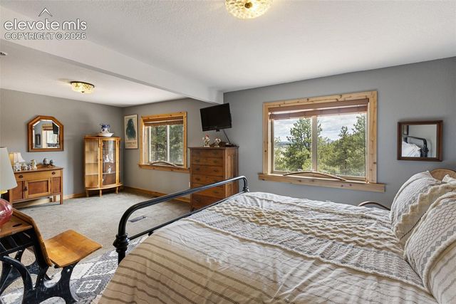 11396 County Road 102, Guffey, CO 80820