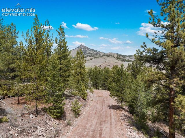 11396 County Road 102, Guffey, CO 80820