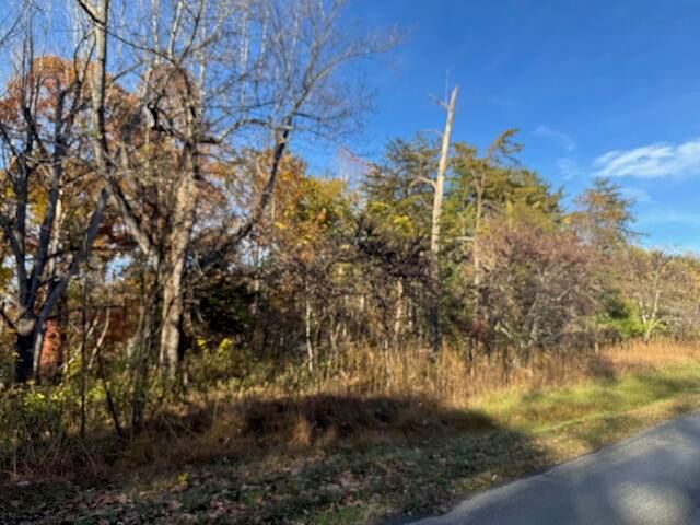 Lot 16 Walnut Run DR, Hardy, VA 24101