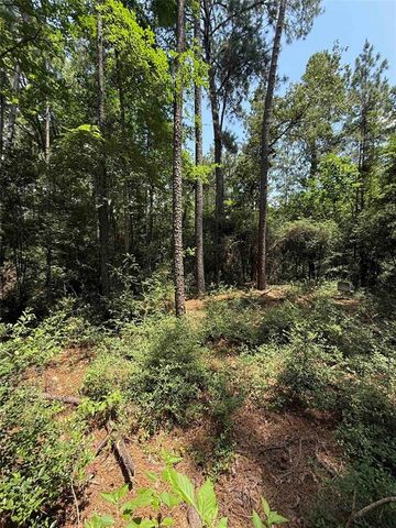 220 Lakeshore Point, Livingston, TX 77351