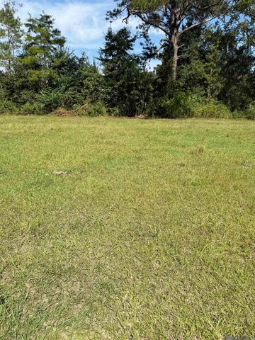 Tract B-1,2,3 Lockhart Rd, Denham Springs, LA 70726