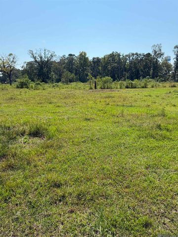 Tract B-1,2,3 Lockhart Rd, Denham Springs, LA 70726