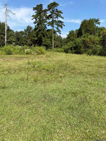 Tract B-1,2,3 Lockhart Rd, Denham Springs, LA 70726