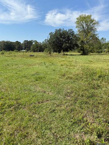 Tract B-1,2,3 Lockhart Rd, Denham Springs, LA 70726