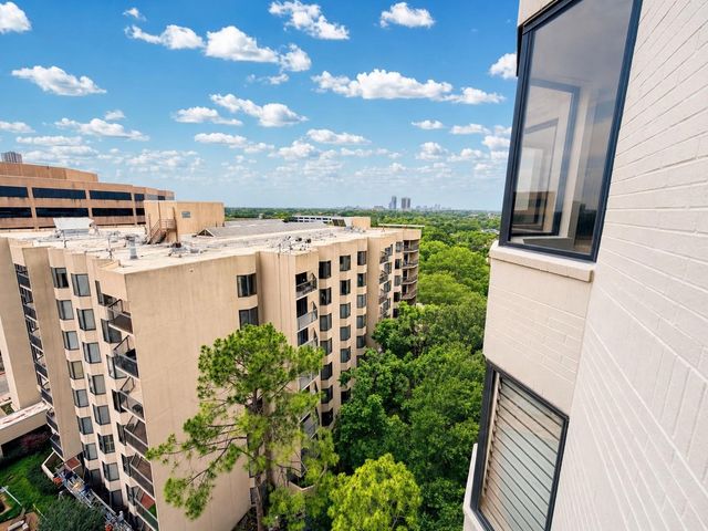 651 Bering Drive 1002, Houston, TX 77057