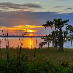 2225 CYPRESS COURT 2C, Tavares, FL 32778