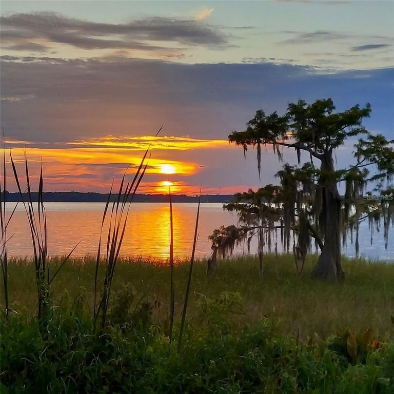 2225 CYPRESS COURT 2C, Tavares, FL 32778