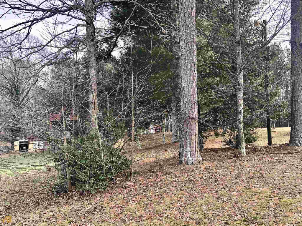 3750 Old Cleveland Road, Cornelia, GA 30531 — photo 5