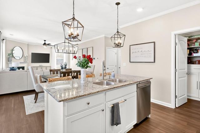 6762 Star Gaze Court, Flowery Branch, GA 30542