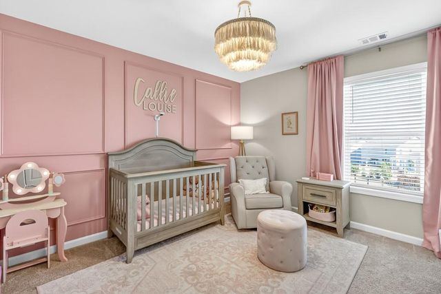 6762 Star Gaze Court, Flowery Branch, GA 30542