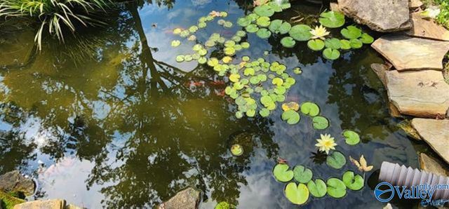 201 Puckett Road SW, Hartselle, AL 35640