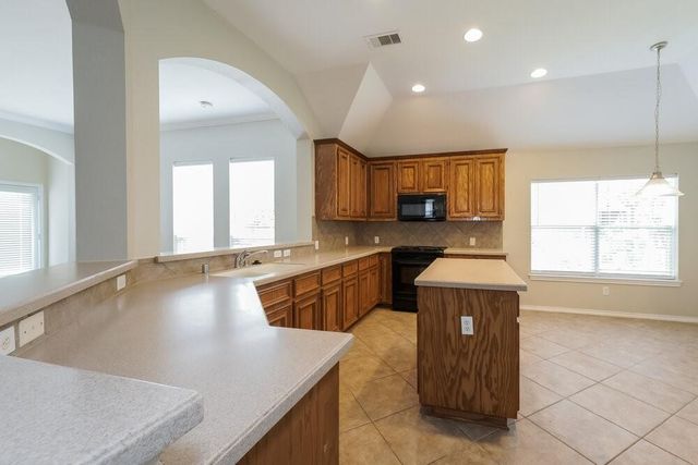 17223 Verdant Willow Way, Houston, TX 77095