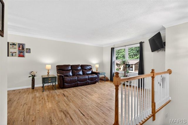 2673 Cathy Ann Drive, High Ridge, MO 63049