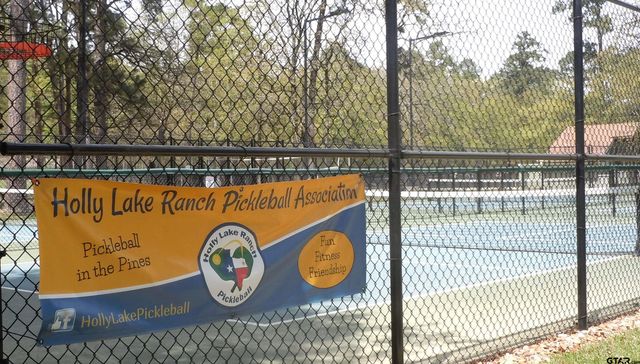 142 Pine Cone Glen, Holly Lake Ranch, TX 75765