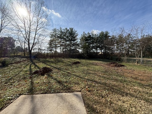 206 Bob White Dr, Clarksville, TN 37042