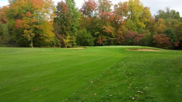 6234 N Arrowhead Drive, Scotts, MI 49088
