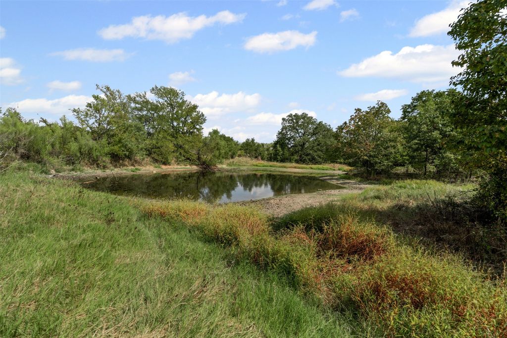 451 County Road 4975, Desdemona, TX 76445