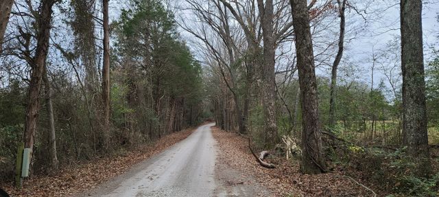 2027 Hardin Bottom River Rd, Clifton, TN 38425