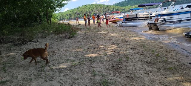 2027 Hardin Bottom River Rd, Clifton, TN 38425