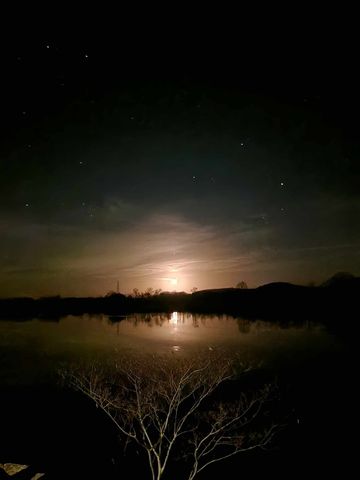 2027 Hardin Bottom River Rd, Clifton, TN 38425