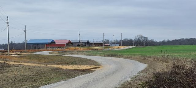 2027 Hardin Bottom River Rd, Clifton, TN 38425