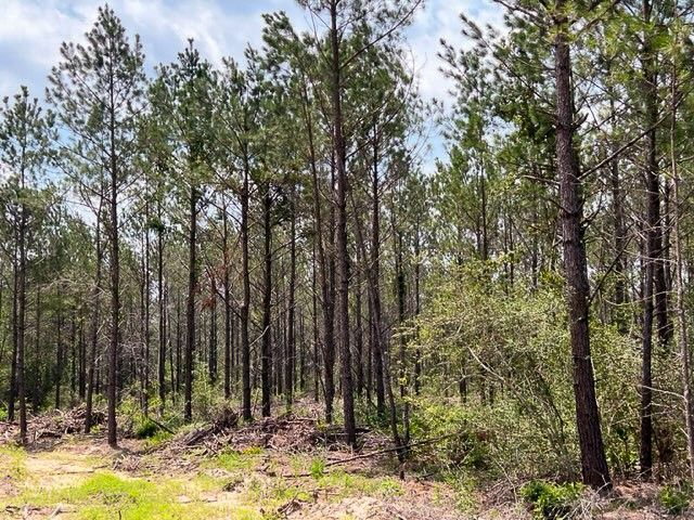 0 FM 92, Colmesneil, TX 75938