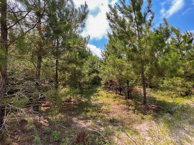 0 FM 92, Colmesneil, TX 75938