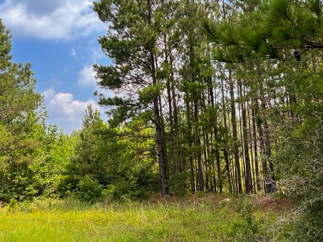 0 FM 92, Colmesneil, TX 75938