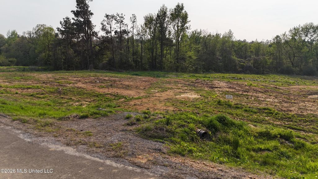 5 Tyro Branch Cove, Senatobia, MS 38668 — photo 3