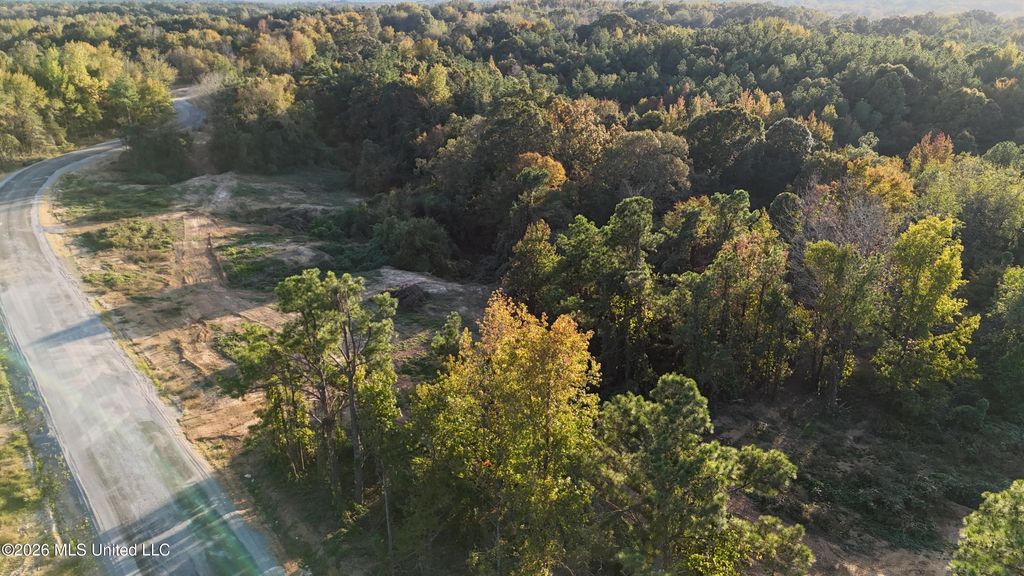 5 Tyro Branch Cove, Senatobia, MS 38668 — photo 4