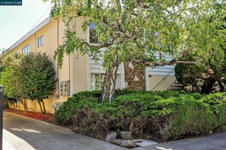 3037 College Ave, Berkeley, CA 94705
