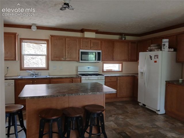 2272 County Road 1, Cripple Creek, CO 80813