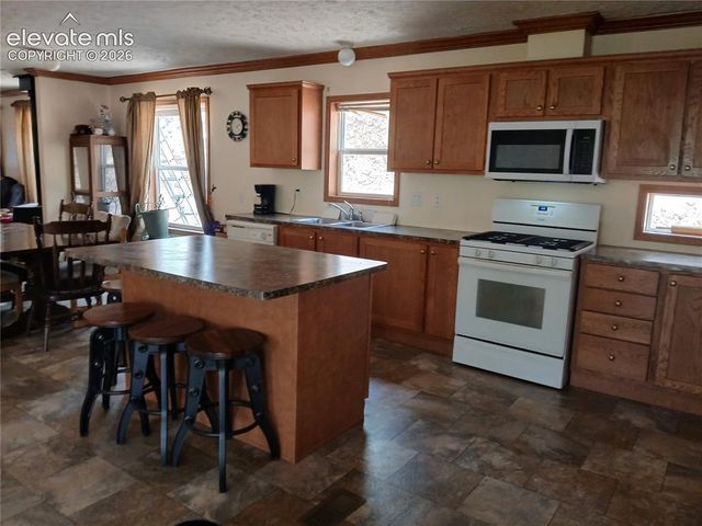 2272 County Road 1, Cripple Creek, CO 80813