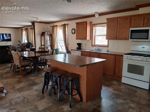 2272 County Road 1, Cripple Creek, CO 80813