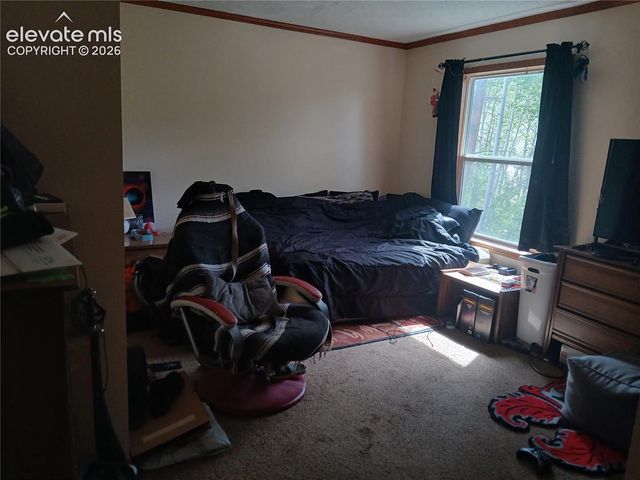 2272 County Road 1, Cripple Creek, CO 80813