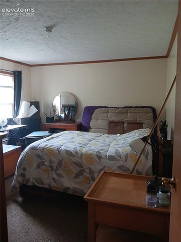 2272 County Road 1, Cripple Creek, CO 80813