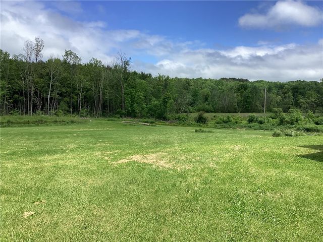 117 Wrench Lane, Coventry, NY 13733