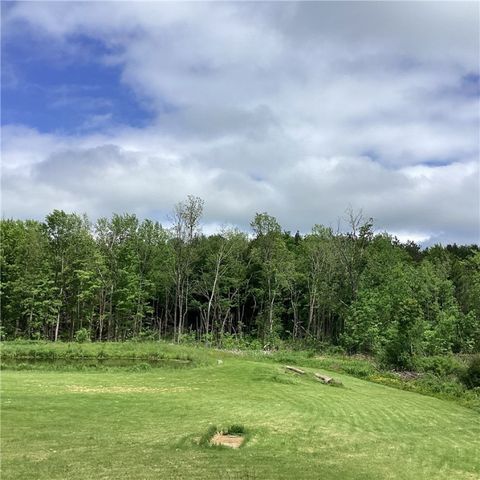 117 Wrench Lane, Coventry, NY 13733