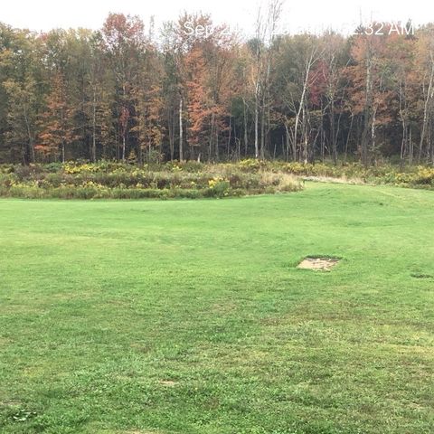 117 Wrench Lane, Coventry, NY 13733