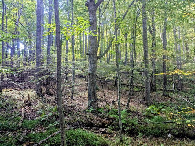 1705 Barberry RD, Floyd, VA 24091