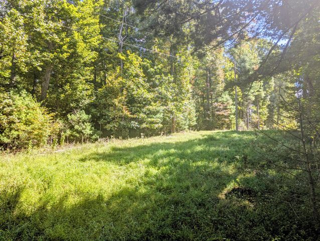 1705 Barberry RD, Floyd, VA 24091