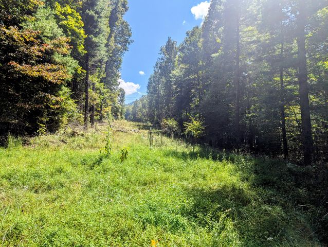 1705 Barberry RD, Floyd, VA 24091