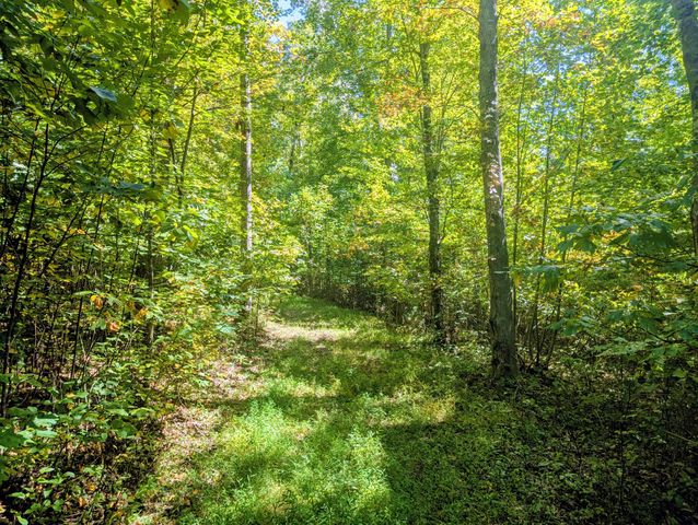 1705 Barberry RD, Floyd, VA 24091