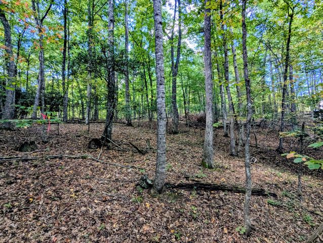 1705 Barberry RD, Floyd, VA 24091